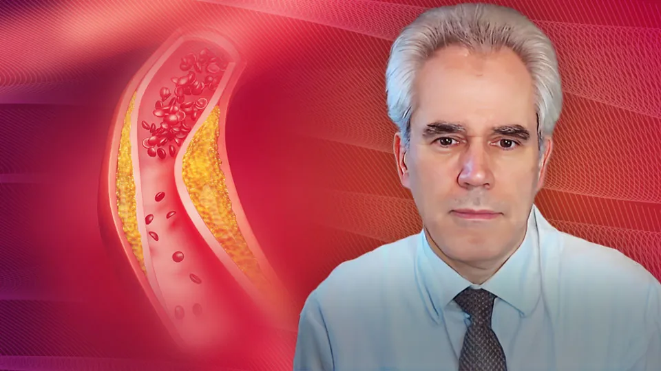 Geschlechtsspezifische Aspekte in der kardiovaskulären Prävention und Therapie mit Fokus auf LDL-C