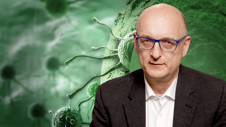 Zellbiologie und Pathologie von NETs