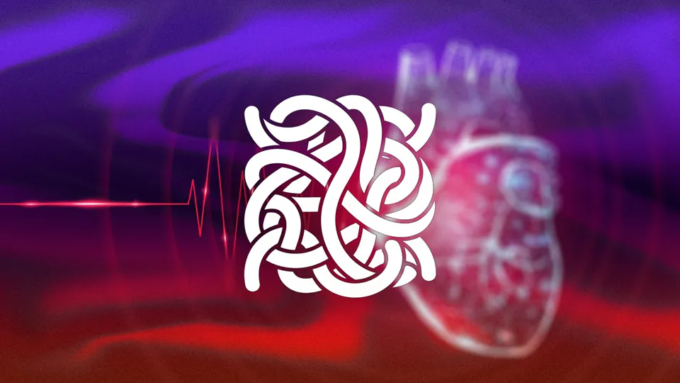 Grundlagen der kardialen Amyloidose verstehen