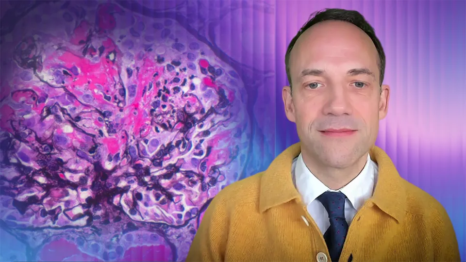 Glomerulonephritis Nephropathologie  (eng)