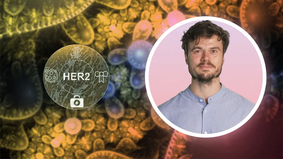 HER2-IHC-Scoring in der Praxis