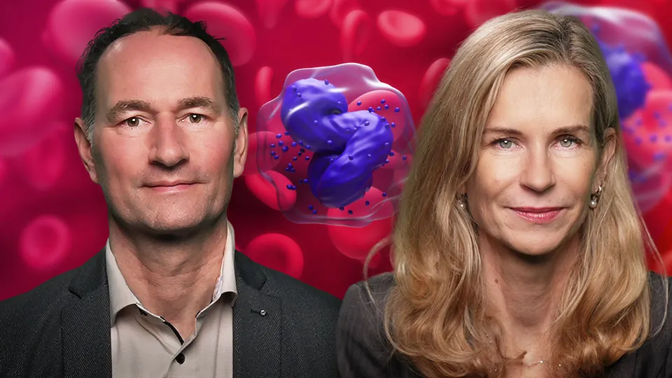 Myelom & Leukämien: neue Standards und Pfade nach dem ASH 2025