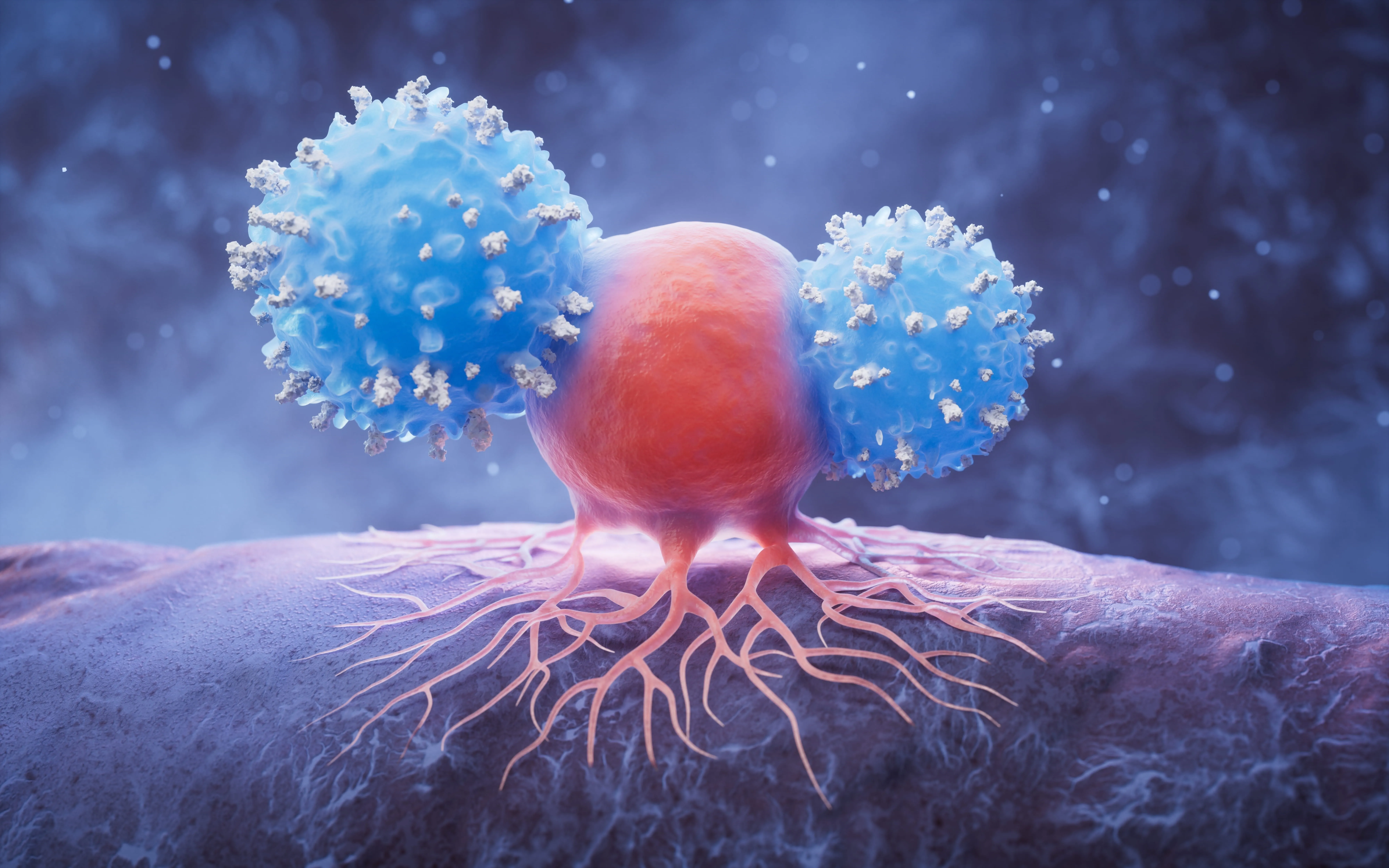 Zwei virusgetriebene Tumore – Ein immunologischer Ansatz